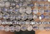 CTG2133 15 inches 2mm,3mm faceted round labradorite gemstone beads