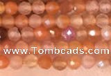 CTG2142 15 inches 2mm,3mm faceted round golden sunstone beads