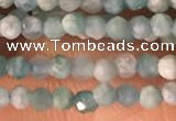 CTG2154 15 inches 2mm,3mm faceted round amazonite gemstone beads