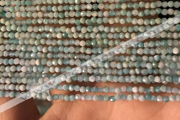 CTG2154 15 inches 2mm,3mm faceted round amazonite gemstone beads