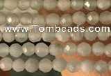 CTG2155 15 inches 2mm,3mm faceted round amazonite gemstone beads