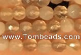 CTG2209 15 inches 2mm,3mm faceted round botswana agate beads