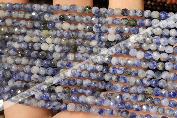 CTG2216 15 inches 2mm,3mm faceted round sodalite gemstone