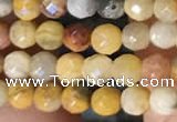 CTG2219 15 inches 2mm,3mm faceted round crazy lace agate beads