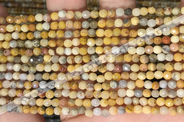 CTG2219 15 inches 2mm,3mm faceted round crazy lace agate beads