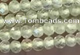 CTG2246 15 inches 2mm faceted round natural prehnite beads