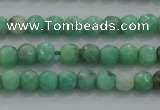 CTG225 15.5 inches 3mm faceted round tiny grass agate beads