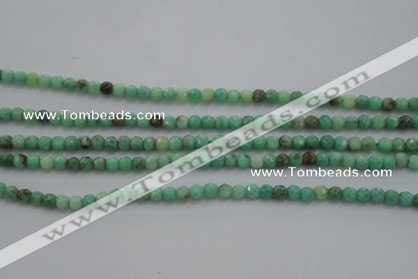 CTG225 15.5 inches 3mm faceted round tiny grass agate beads