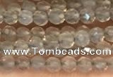 CTG2255 15 inches 2mm faceted round grey agate beads