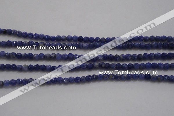 CTG227 15.5 inches 3mm faceted round tiny sodalite gemstone beads