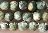 CTG3578 15.5 inches 4mm faceted round rhyolite beads wholesale