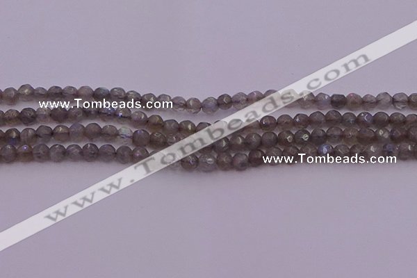 CTG509 15.5 inches 4mm faceted round tiny labradorite beads