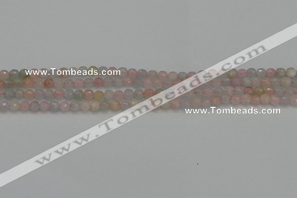 CTG551 15.5 inches 4mm faceted round tiny morganite beads