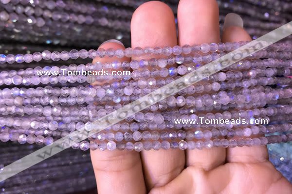 CTG702 15.5 inches 4mm faceted round tiny labradorite beads