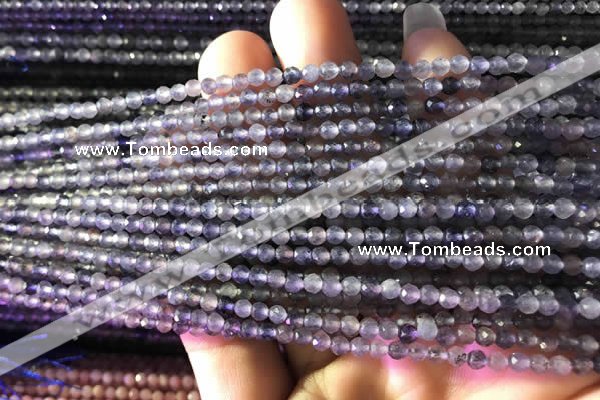 CTG750 15.5 inches 2mm faceted round tiny iolite beads wholesale