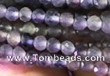 CTG751 15.5 inches 3mm faceted round tiny iolite beads wholesale