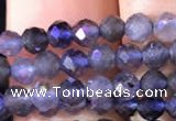 CTG754 15.5 inches 3mm faceted round tiny iolite gemstone beads