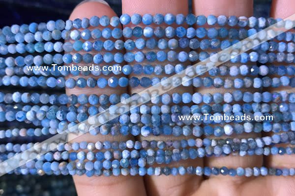 CTG759 15.5 inches 2mm faceted round tiny apatite gemstone beads