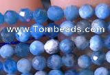 CTG760 15.5 inches 3mm faceted round tiny apatite gemstone beads