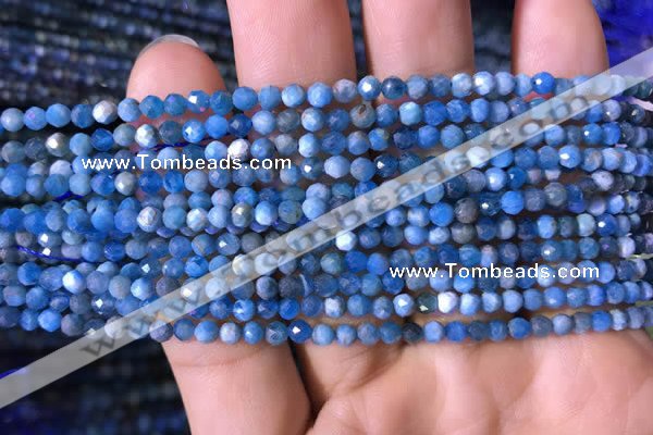 CTG760 15.5 inches 3mm faceted round tiny apatite gemstone beads