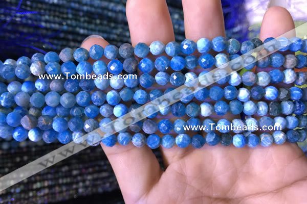 CTG762 15.5 inches 5mm faceted round tiny apatite gemstone beads