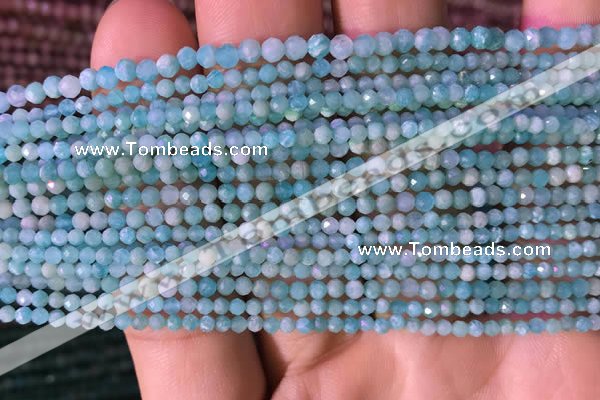 CTG764 15.5 inches 2mm faceted round tiny amazonite gemstone beads