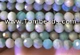 CTG774 15.5 inches 2mm faceted round tiny amazonite beads wholesale