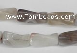 CTW123 15.5 inches 9*20mm twisted trihedron botswana agate beads