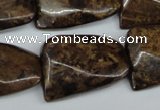 CTW410 15.5 inches 22*30mm twisted bronzite gemstone beads