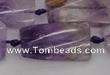 CTW456 20*38mm faceted & twisted rectangle ametrine beads