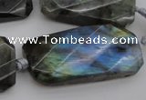CTW457 20*38mm faceted & twisted rectangle labradorite beads