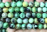 CVB04 15 inches 10mm round variscite gemstone beads wholesale