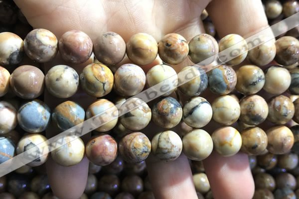 CVJ04 15.5 inches 10mm round venus jasper beads wholesale