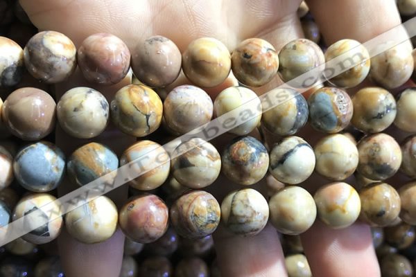 CVJ06 15.5 inches 14mm round venus jasper beads wholesale