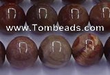 CWJ434 15.5 inches 12mm round wood jasper beads wholesale