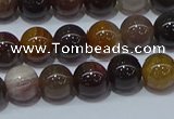 CWJ502 15.5 inches 8mm round Xinjiang wood jasper beads wholesale