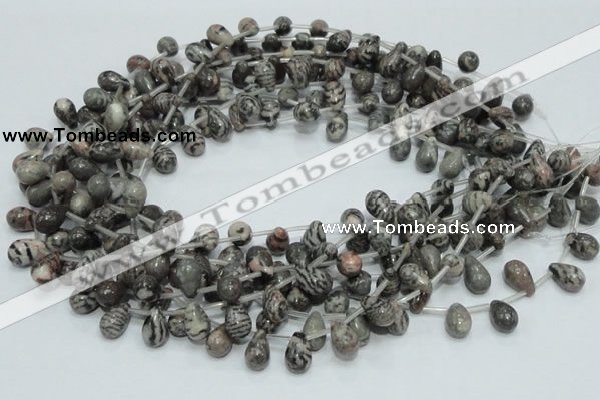 CZJ16 16 inches 8*12mm teardrop zebra jasper gemstone beads wholesale