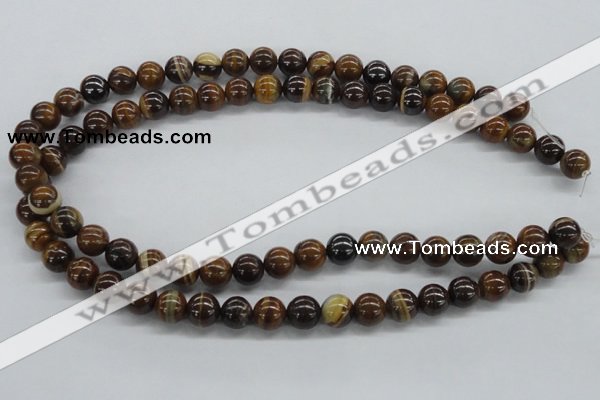 CZJ171 15.5 inches 10mm round iron zebra jasper beads wholesale