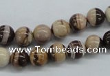 CZJ250 15.5 inches 8mm round zebra jasper beads wholesale