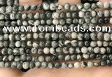 CZJ410 15.5 inches 4mm round green zebra jasper beads wholesale