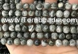 CZJ412 15.5 inches 8mm round green zebra jasper beads wholesale