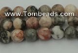 CZJ550 15.5 inches 4mm round pink zebra jasper beads wholesale