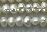 FWP09 14.5 inches 2.5mm - 3mm potato white freshwater pearl strands