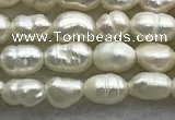 FWP151 14.5 inches 2.5mm rice white freshwater pearl strands