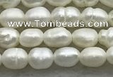 FWP157 14.5 inches 3mm - 4mm rice white freshwater pearl strands