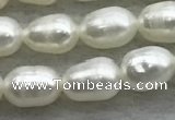 FWP167 14.5 inches 4mm - 5mm rice white freshwater pearl strands