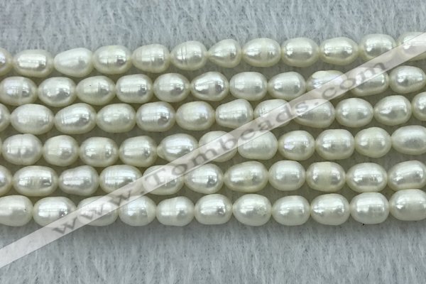 FWP174 14.5 inches 5mm - 6mm rice white freshwater pearl strands