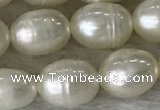 FWP185 15 inches 6mm - 7mm rice white freshwater pearl strands