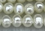 FWP19 14.5 inches 3mm - 4mm potato white freshwater pearl strands