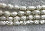 FWP205 15 inches 10mm - 11mm rice white freshwater pearl strands